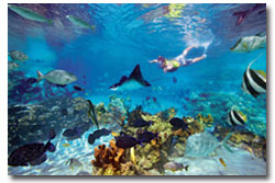 Tours en Cancún