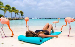 Tours en Aruba