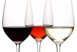 Tour en Mendoza - Cata de Vinos