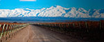 Tour Ruta del Vino en Mendoza (5 Días / 4 Noches)