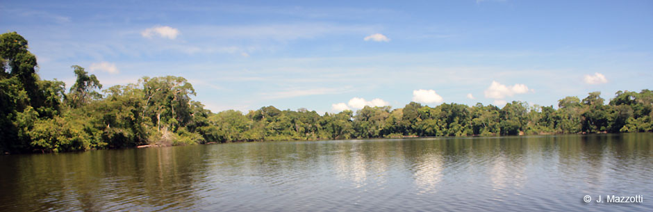 Tour Descubra la Amazona desde Iquitos en 4 das