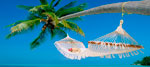 Tour Aruba con Hoteles todo incluido con Copa (5 Días / 4 Noches)