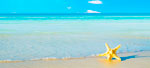 Tour México DF y Playa del Carmen con AeroMéxico (6 Días / 5 Noches)