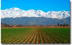 Tours en Mendoza