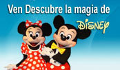 Tours a Disney World desde Lima